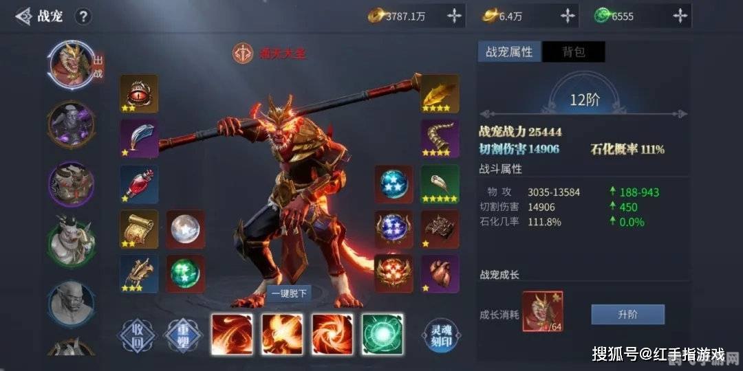 SHR战队手游攻略揭秘胜利之路,成为无敌战神的秘诀!