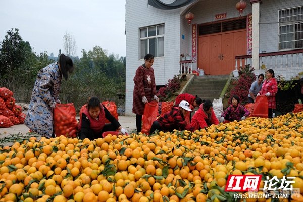 靖州渠阳镇甜点探秘：手游中的美食之旅