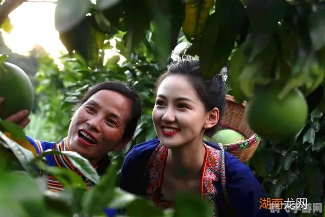 靖州渠阳镇甜点探秘：手游中的美食之旅