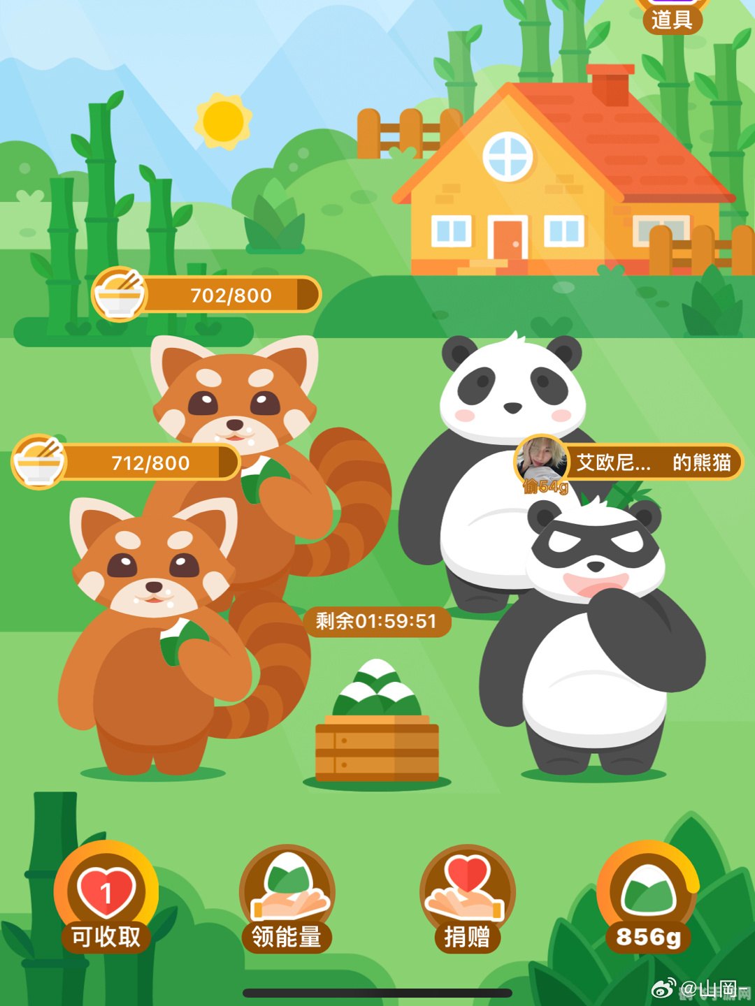 棕色小熊猫身世揭秘——并非大熊猫宝宝的手游攻略