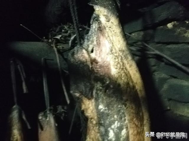 经典打地鼠游戏攻略：成为打地鼠高手的秘诀