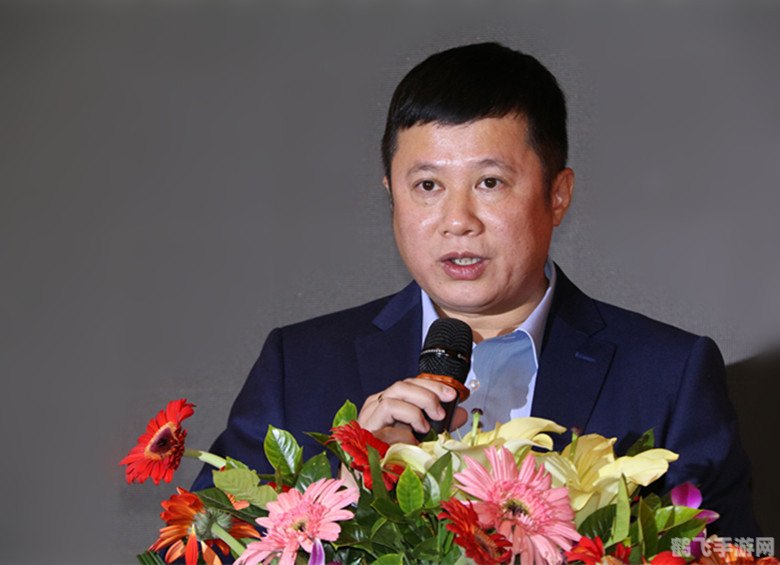 英雄联盟四周年,英雄联盟四周年庆典：手游玩法全解析与攻略指南