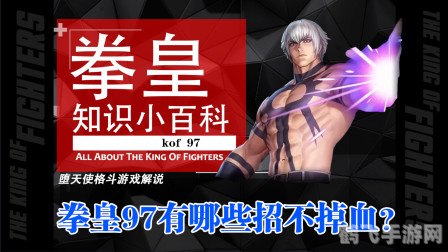 拳王2002：重温经典，掌握格斗技巧