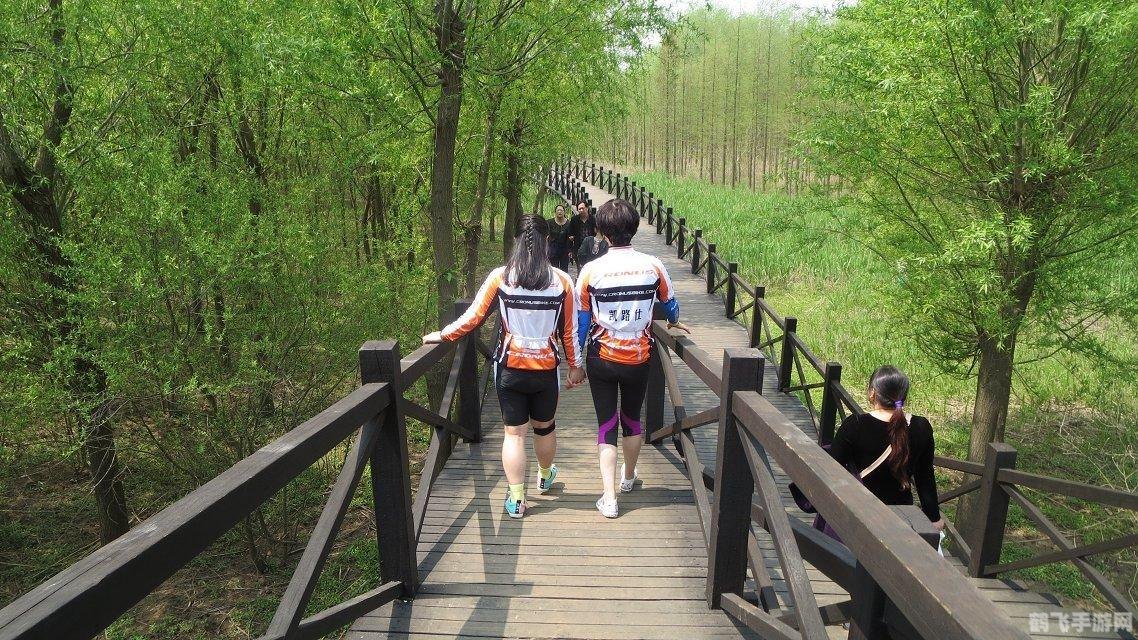 糖果忍者猫2攻略大揭秘:甜蜜冒险,再度启程!