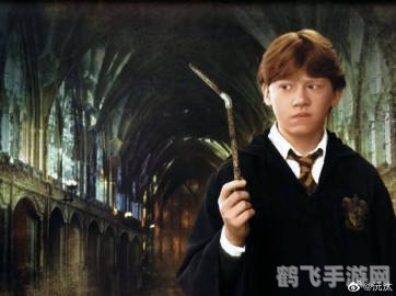 第二型罗恩,探索第二型罗恩的无限可能：攻略与技巧一网打尽