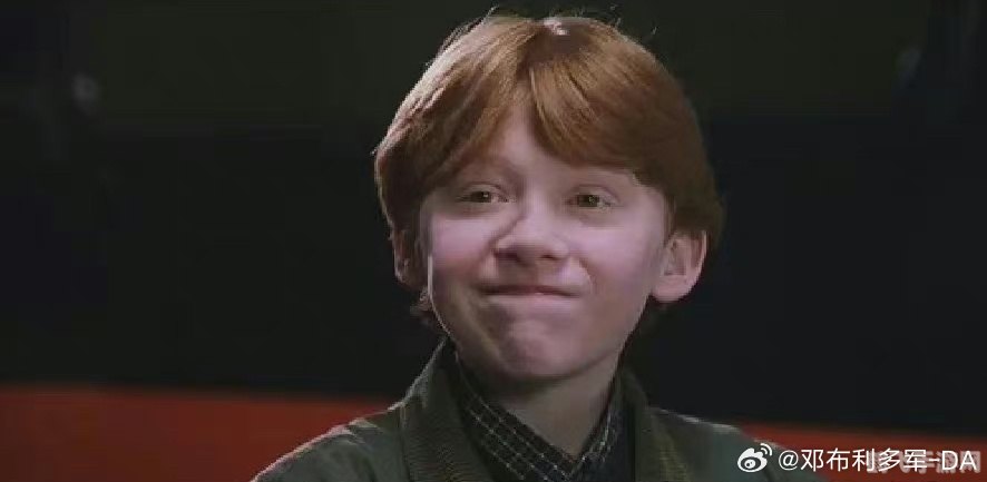 第二型罗恩,探索第二型罗恩的无限可能：攻略与技巧一网打尽