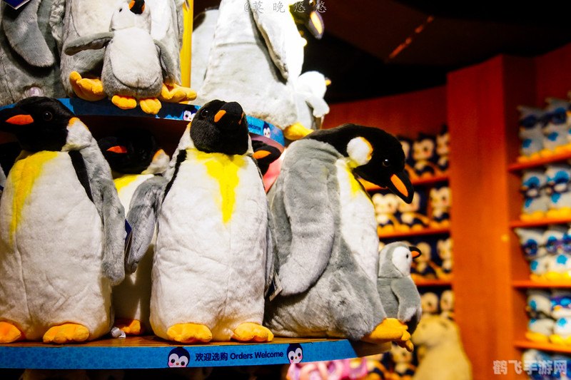 365游戏：手游玩法全攻略，带你玩转游戏世界！