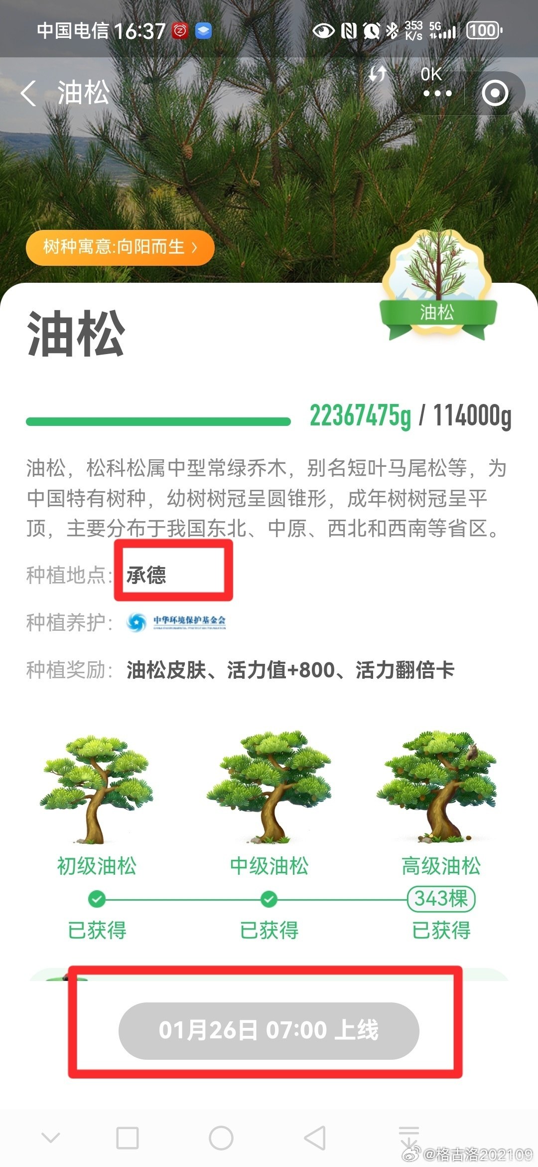 2019年9月蚂蚁森林,2019年9月蚂蚁森林新动态全解析