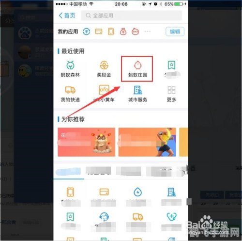 蚂蚁庄园手游攻略:领饲料秘籍大公开!