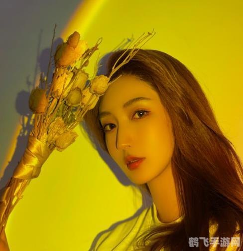 3ds汉化,3DS汉化手游攻略:玩转游戏世界,成为顶级玩家