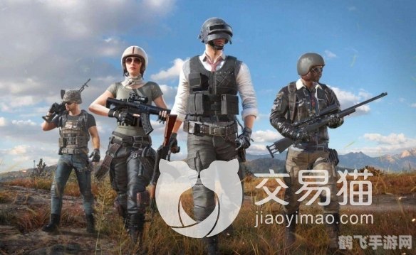 吃鸡号购买平台,吃鸡号购买平台选购指南:如何安全便捷地获取你的绝地求生账号