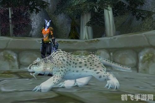 黑海岸幽灵豹,探寻黑海岸的幽灵豹：一份详尽的游戏攻略