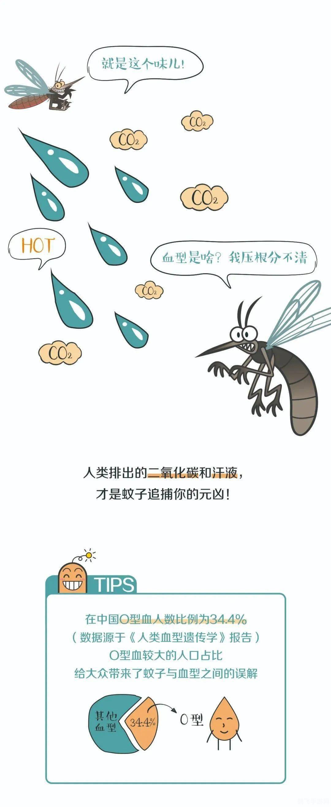 蚊子真的偏爱某些血型吗?蚂蚁庄园揭秘