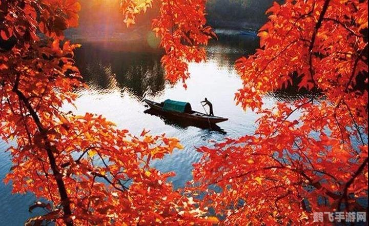 萧萧宵征枫叶之旅——蚂蚁庄园探秘攻略