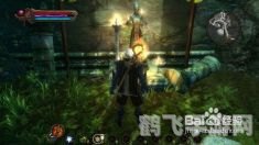 阿玛拉王国一贫如洗,阿玛拉王国:重生财富之路——手游玩法与攻略指南