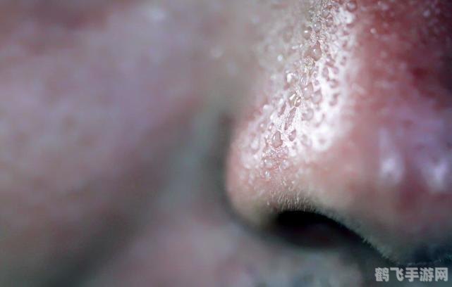 LOL皮肤试用全攻略：如何最大化体验新皮肤？