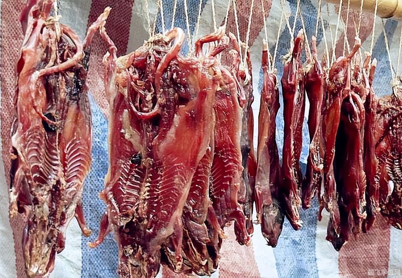 大菠萝福建app导航入口:手游攻略与玩法全解析