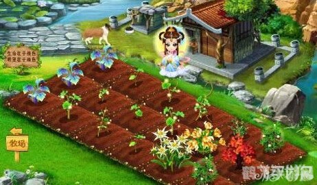 QQ农场快速升级攻略:成为顶级农场主的秘诀