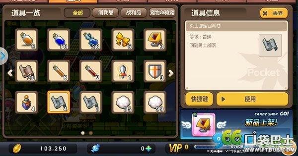 冒险岛口袋版：探索装备奥秘，制霸全服不是梦！