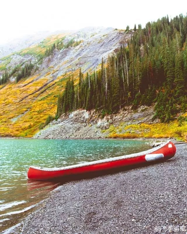 鬼刃手游攻略:掌握中文补丁,畅游幻鬼世界!