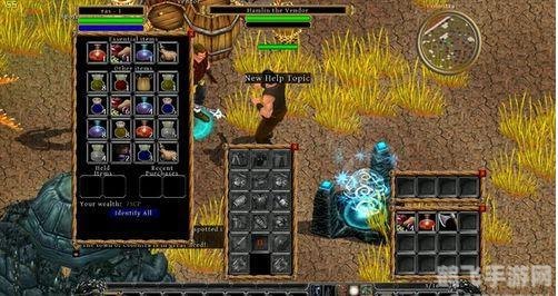 丁神的诅咒手游深度攻略：破解诅咒，掌握命运！