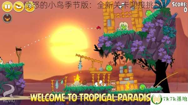 愤怒的小鸟季节版激活码,愤怒的小鸟季节版激活码获取及全关卡攻略大揭秘!