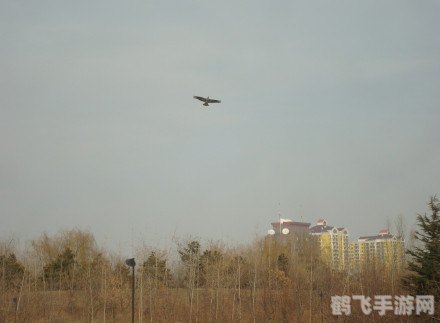 纸飞机之旅:翱翔天际的攻略与玩法