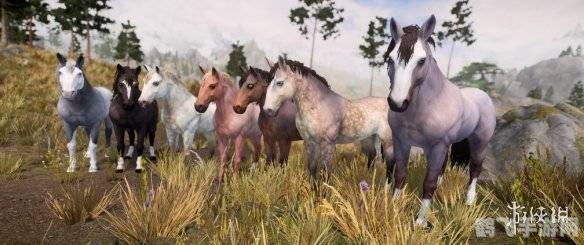 上古卷轴5购马指南:驰骋天际的必备良驹