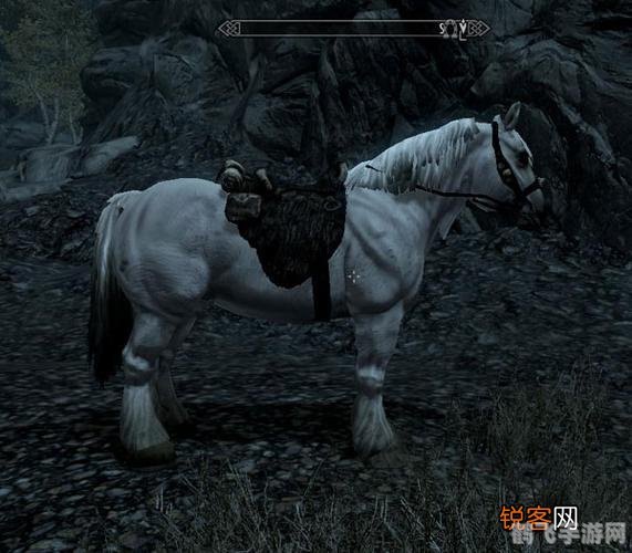 上古卷轴5购马指南:驰骋天际的必备良驹