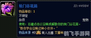 埃门谷花苗：探索神秘之地的必备指南