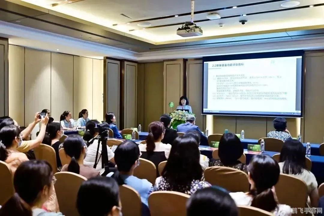 双人游戏闯关,携手同行：双人游戏闯关攻略大揭秘