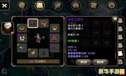 艾诺迪亚4电脑版,艾诺迪亚4电脑版深度攻略：探索无尽冒险，成为最强战士！