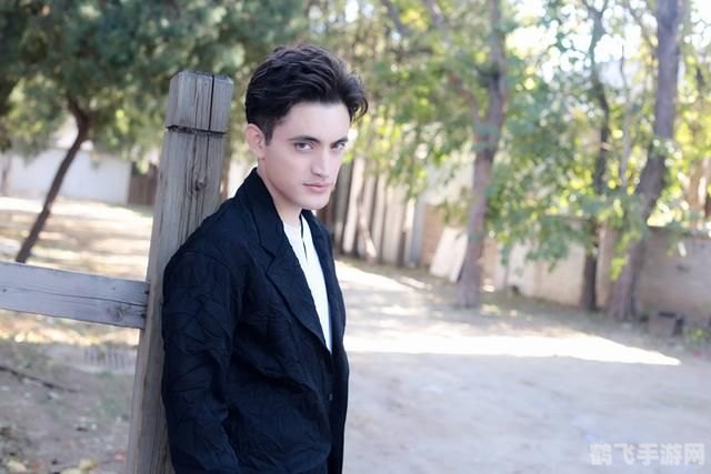 胡侦探传说11,胡侦探传说11深度解析与攻略指南