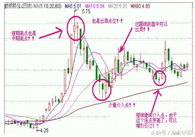绿色循环圈外传手游全攻略:打造你的最强战队!