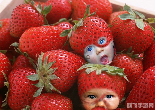 谁是卧底网页游戏,谁是卧底网页游戏玩法全解析