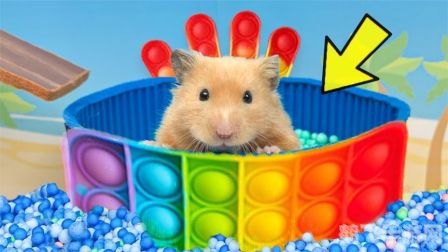 仓鼠乐园游戏,仓鼠乐园：掌握这些小技巧，成为仓鼠大师！