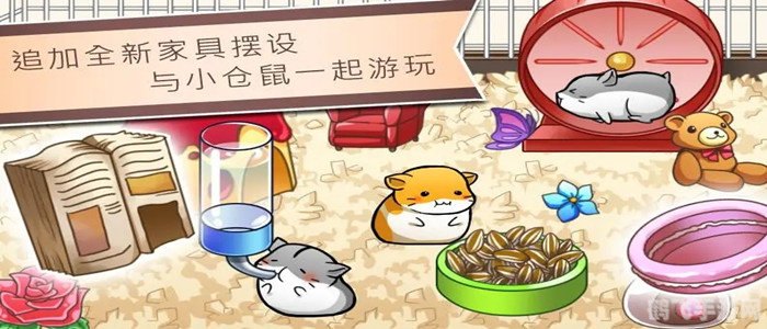 仓鼠乐园游戏,仓鼠乐园:掌握这些小技巧,成为仓鼠大师!