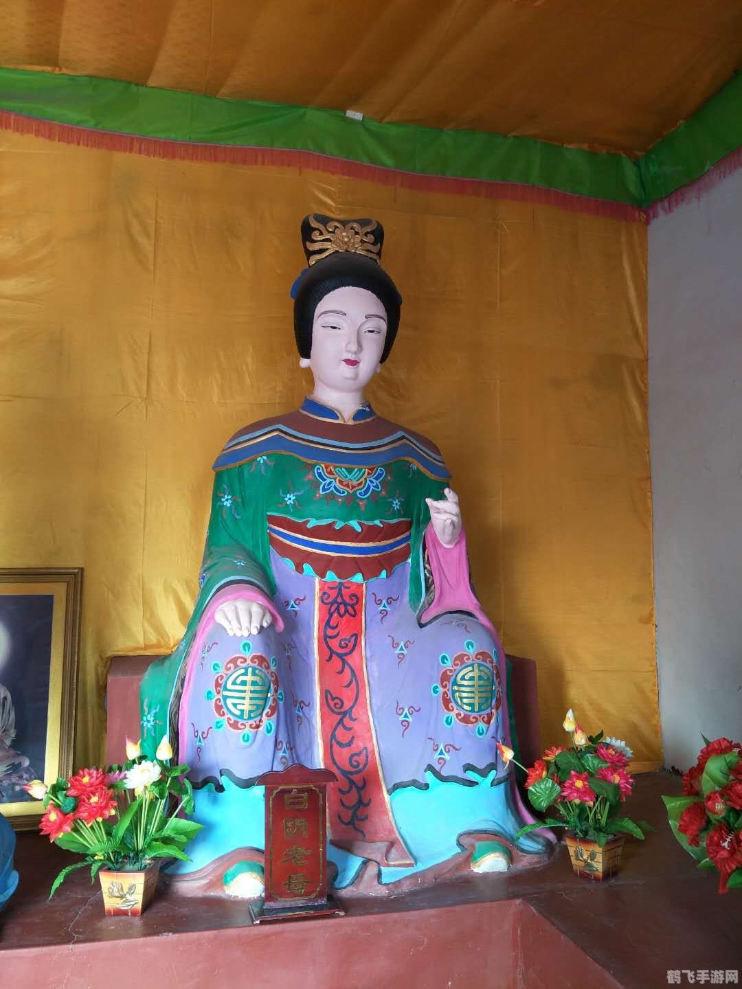 九阴真经大如意丸全方位解析