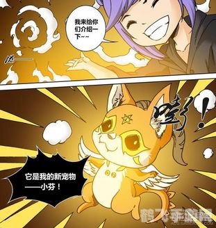 妖精的尾巴宠物,妖精的尾巴：宠物大冒险手游攻略大全