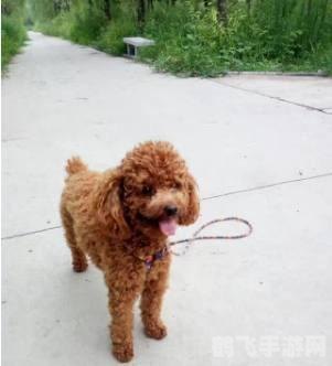 探索无尽乐趣:最新网页游戏玩法攻略大揭秘