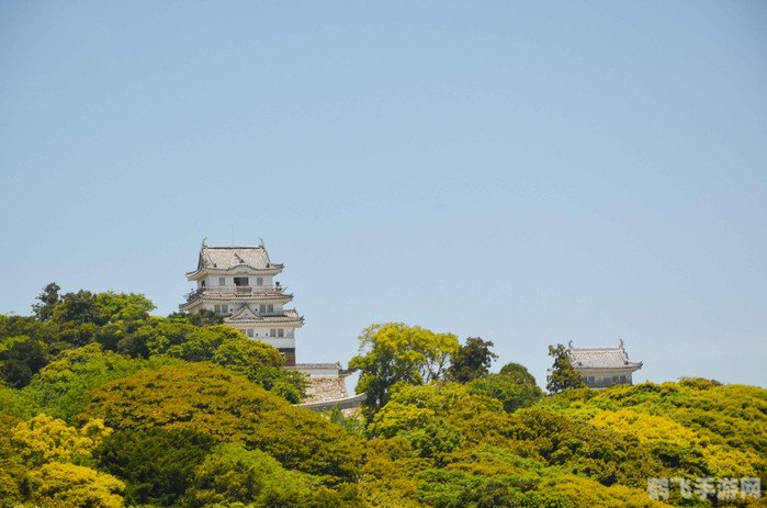 探索视觉盛宴:像抖音一样畅享A级手游的精彩世界