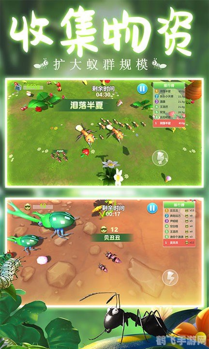 摸过铁架蚂蚁庄园手游攻略：打造你的昆虫帝国！