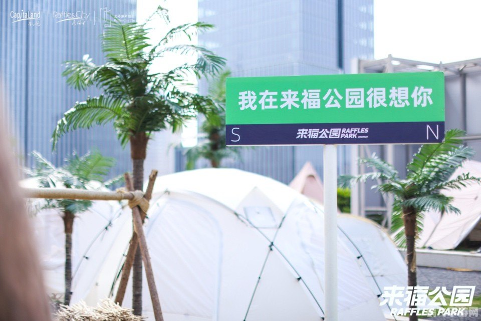 口袋双子星图鉴,口袋双子星全面解析与攻略指南