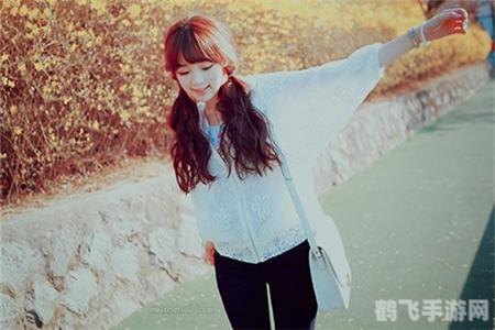 口袋双子星图鉴,口袋双子星全面解析与攻略指南