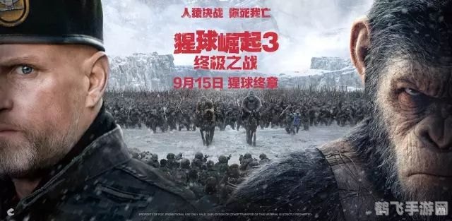 鱿鱼游戏模拟器,鱿鱼游戏模拟器:生存之战的终极指南