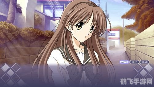 秋之回忆1,秋之回忆1:重温经典,探寻秋日恋曲