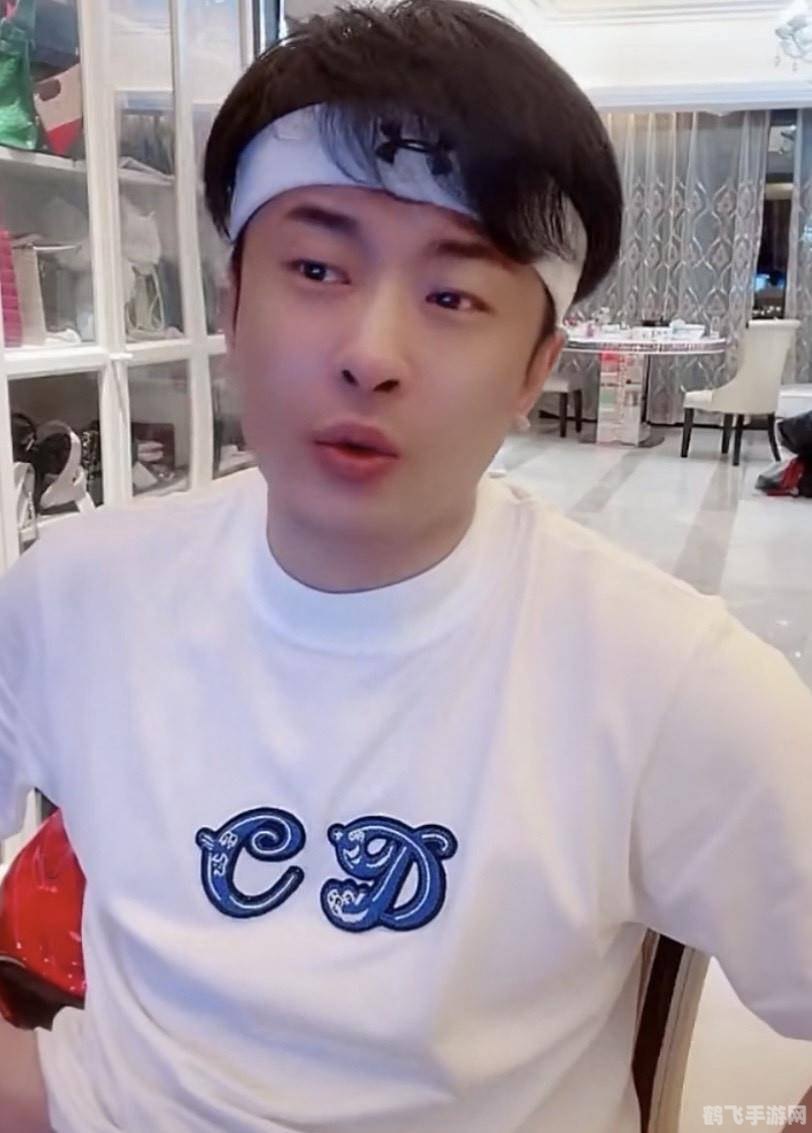 落井下石小游戏：攻略与玩法大揭秘