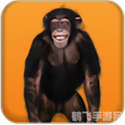 会说话的猴子,探秘会说话的猴子：手游攻略与玩法大揭秘