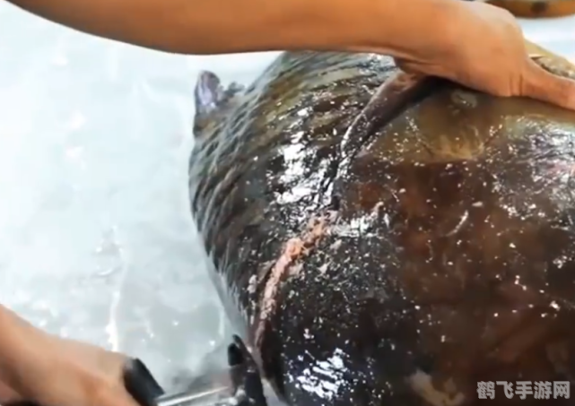 DNF分解师摆摊全攻略