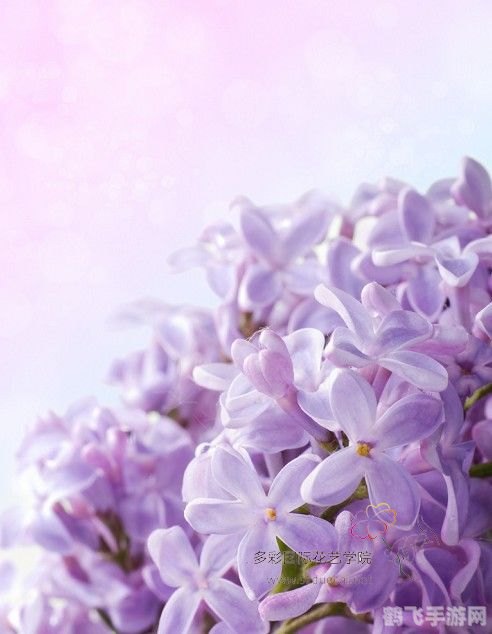 守护女生大作战:手游攻略与玩法全解析